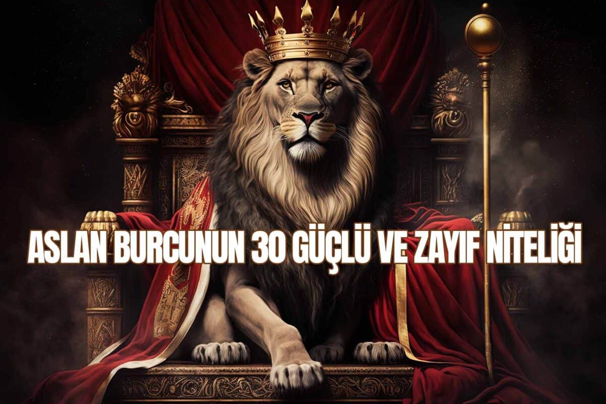 Aslan Burcu İnsanları İçin Kişisel Gelişim İpuçları Nelerdir